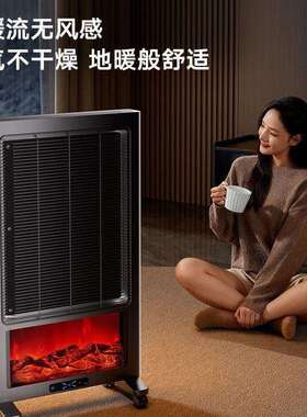 林边壁炉电暖器家用火焰仿真大面积石墨取暖炉暖气炉家用客厅暖风