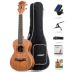 Andrew ANDREW ukulele 23 inch uklele 26 inch guitar nhỏ cho người mới bắt đầu chơi nhạc cụ ukulele - Nhạc cụ phương Tây kèn saxofon Nhạc cụ phương Tây