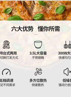 灿欣6652家用电动打蛋器台式打蛋器5档300W交流电机奶油和面机