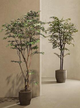 彷真绿色植物假树室内橄榄树彷生植物落地盆栽景观高端轻奢装饰摆