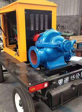 厂家现货柴油水泵湖泊防汛抽水泵防护设备带两个吸水管口抽水泵