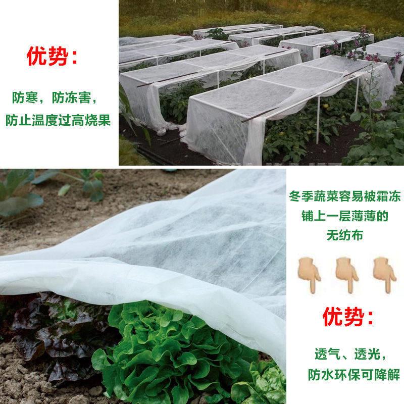 Rice seedling cultivation non-woven fabric whole roll grass seed vegetable covering film breathable agricultural film moisturizing and antifreeze