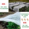 Rice seedling cultivation non-woven fabric whole roll grass seed vegetable covering film breathable agricultural film moisturizing and antifreeze