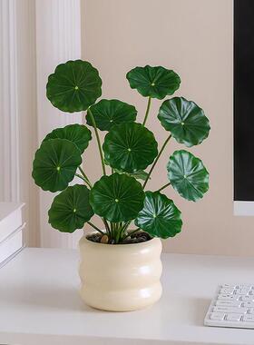 彷真绿色植物摆件盆栽造景拍摄道具客厅电视柜茶几餐桌工位装饰假