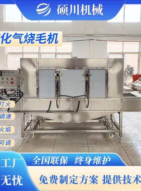 牛蹄烧毛设备厂家 猪蹄天然气烧毛机 肉制品燎毛机 辣椒烧皮机