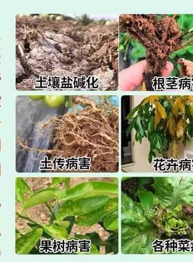 生石灰园艺种植养花种菜种花消毒杀菌剂石灰粉土壤改良生石灰粉