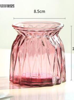 家用水培瓶植物透明宽口玻璃花瓶容器黄金葛盆养缸水培摆件器皿客