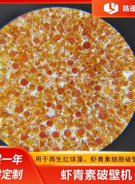 雨生红球藻细胞破壁机虾青素原料加工粉碎设备藻类工业化破碎机
