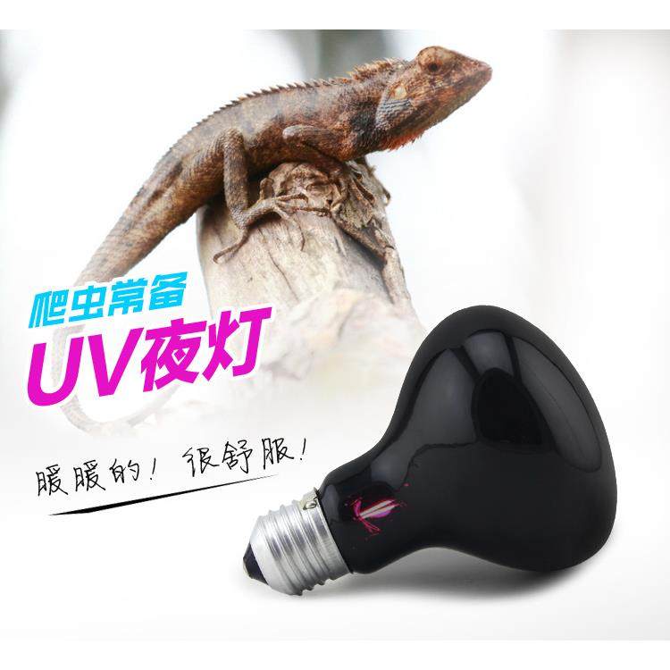 爬虫陆龟夜灯月光灯蜥蜴蛇陶瓷饲养箱uva夜灯黑夜灯宠物加热灯,淘宝优惠券,粉丝福利购,淘宝优惠卷