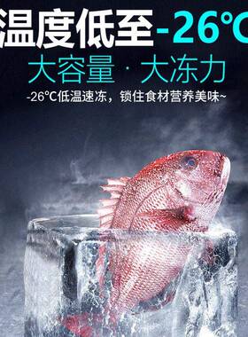 星星冰柜冷藏保鲜冷冻冰箱速冻雪糕冷饮海鲜柜卧式冷柜商用冰柜