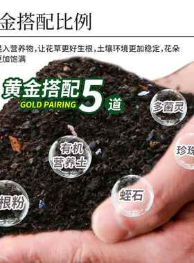 营养土通用型100斤大包种菜养花土壤有机土家用种菜盆栽种植土