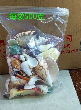 天然20余款贝壳 海螺水族箱鱼缸装饰 摄影道具 diy500克贝壳海螺