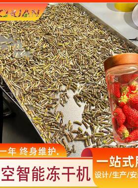 厚切酸奶块真空干燥机黄桃木薯冻干设备奇异果真空低能耗冻干机