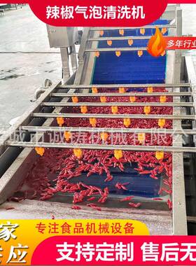 工厂用果蔬气泡清洗机商用鸡毛菜气泡清洗机设备空心菜清洗风干线