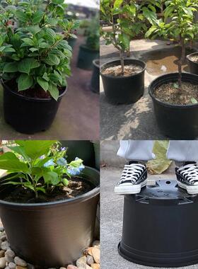 厂家批发黑色绿植盆栽绿萝花瓶