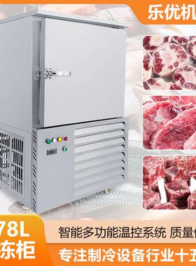 跨境大型速冻柜商用冷冻柜零下45度海参包子饺子急冻速冻柜速冻机
