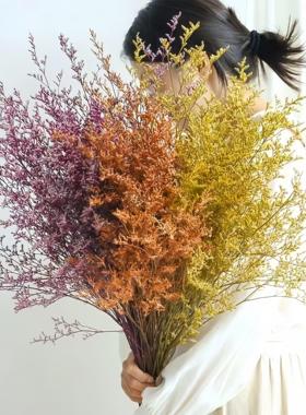 永生花情人草长支大束100克1束花店花束配草室内花瓶装饰乾燥花材