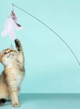 Simulation Bird interactive Cat Toy Funny Feather Cat Stick