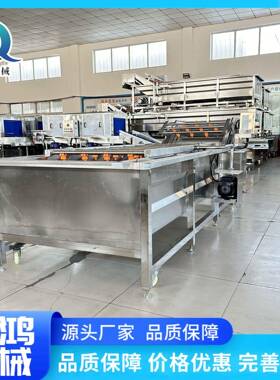 学校食堂韭菜芹菜气泡清洗机 黄瓜豆角清洗设备 包子馅加工流水线