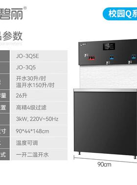 碧丽商用净水器饮水机公室位工厂大流量立式反渗透学校直饮机