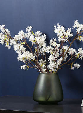 现代简约彩色磨砂玻璃花瓶 家居客厅样板间软装水果盘装饰品 批发