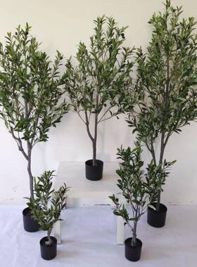 仿物装饰假绿树植盆栽摆件家居CQ0012饰品加密仿植真橄榄现真货