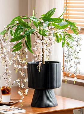 森空间彷真绿色植物垂丝茉莉植物装饰软装搭配原木风室内客厅落地