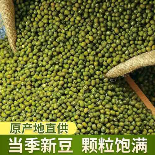 东北农家小绿豆新货500克可做绿豆糕绿豆汤发豆芽消暑易煮五谷杂