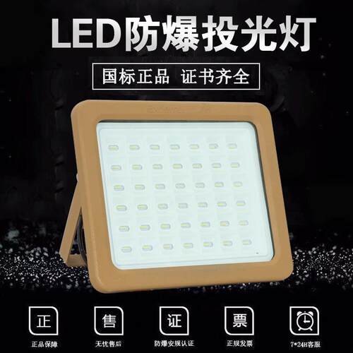 led防爆灯隔爆型投光灯100W200加油站仓库厂房户外防水应急泛光灯 - 图0