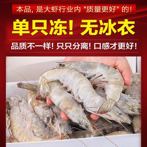 虾鲜活速冻特大号青岛大虾冷冻生海鲜水产鲜活大全新鲜基围冰虾类 - 图2