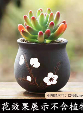 花盆花盆摆件摆件创意家居花瓶