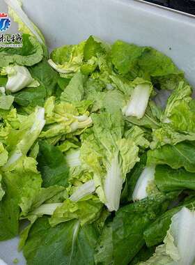 全自动不锈钢气泡清洗设备多功能果蔬喷淋式清洗机气泡洗菜机