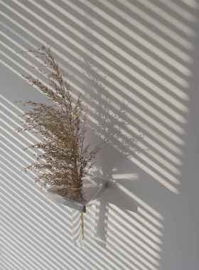 中世纪仓库穆尔创意壁挂式花瓶入口墙装饰干枝插花玻璃试管水培花