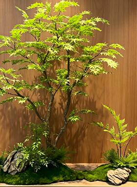 彷真绿色植物大型枫树鸡爪槭彷真树造景室内装饰假树彷生植物摆件