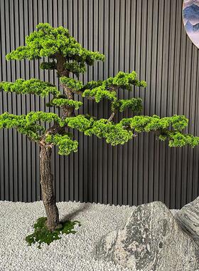 采购产品模拟迎宾松，假树，干景观美化，树木观赏，波多卡柏，室