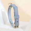 Pet dog collar leather puppy cat special French Dou Teddy small and medium-sized dog collar cute cat collar