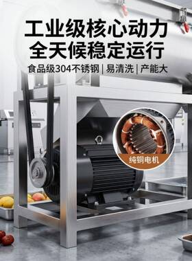 牛油果去核打浆机水果压榨原汁商用青枣核去粉碎发机酵果酒设备