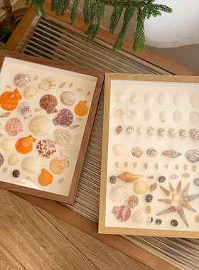 海边贝壳海螺diy标本框自制手工礼物纪念画框中空正方形简约相框