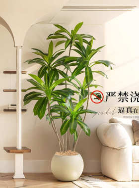 仿生造景盆栽格仿真蔷植木装饰假植客厅摆件物室内绿落地