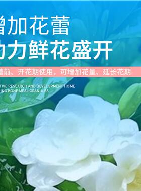 艾尚棵园艺骨粉颗粒肥料复合肥开花肥家用盆栽绿植花卉骨粉有机肥