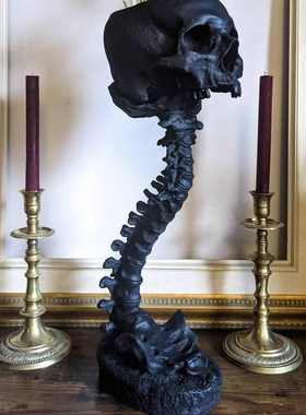 爆款 Skull Planter & Spine Stand Sets 骷髅花盆和脊椎
