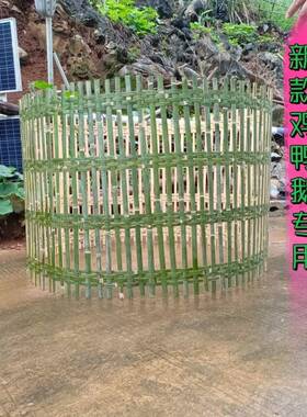 竹编鸡围栏围网围挡围墙篱笆竹编围鸡鸭围栏竹围栏鸡围栏耐用