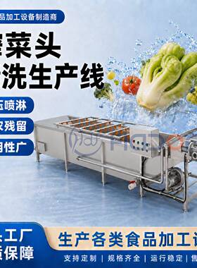 华德福牌毛辊清洗机洋葱清洗去皮机芥菜头去泥清洗设备现货
