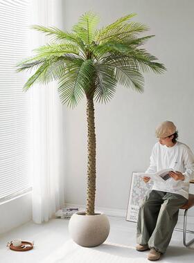 大型彷真绿色植物刺葵棕榈高端轻奢彷生植物落地盆栽客厅装饰假树