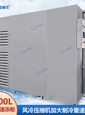 冷冻冰柜风冷无霜工业级大型速冻柜大容量1100L1400L2300L可选择