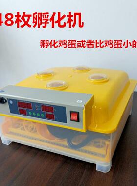 孵蛋器小型迷你48枚孵化机械设备36梅花56家禽家用孵化机箱