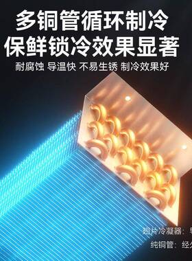 穗凌现货冰柜冷藏展示柜风冷保鲜柜商用冰箱冷柜分体机型源头工厂