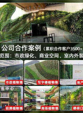 仿真植物墙室外防晒草坪阻燃塑料加密人造草坪造景绿化工程绿植墙
