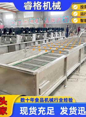 全自动净菜翻转风干线果蔬清洗风干成套设备辣椒去泥气泡清洗机