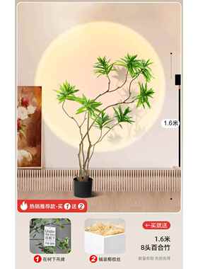 高档件家居饰高品轻奢档装饰彷真绿色植物合竹客厅电摆视柜大百型